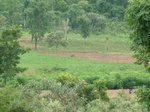 18518P1000354.JPG