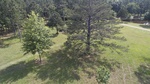 2017-06-12_13-57-39_DJI_0090.jpg