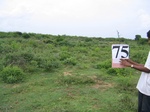 1057775-scrubland-1yr-1m-a.gif
