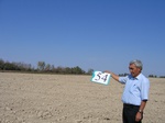 10273054-Irrigated (Surface water) winter wheat-b.jpg