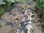 2012-09-03_16-25-14_0903120856.jpg