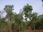 3803RIMG0107.JPG