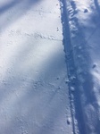 2018-02-13_13-54-19_EB00932A-ACEC-46AE-99F0-40FE39D5AC99.jpg