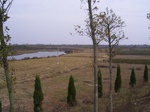 3200R0017234.JPG