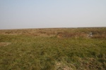4501IMG_8581.jpg