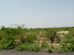 18998P1000842.JPG