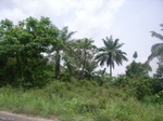 3744RIMG0048.JPG