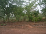 3981RIMG0285.JPG