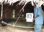 6381083d-irrigated-supplemental-major-tubewell-sugarcane-groundnut.jpg