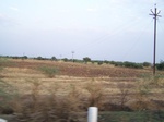 515922042008(110).JPG
