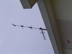 946R0015420.jpg
