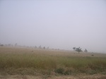 9149RIMG0230.JPG