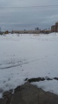 2017-02-23_14-14-40_20170223_135149.jpg