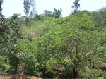 1727720042008(60).JPG