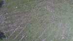 2017-06-12_13-57-39_DJI_0091.jpg