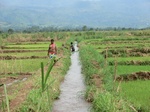 2012-09-07_10-20-04_CIMG6715.JPG