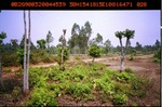 40441ANH498.JPG