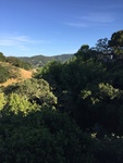 2018-05-26_20-36-38_5DDFAA25-6023-475D-A529-4DC06A31C23D.jpg