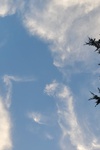 2020-09-30_12-45-07_2020-9-29-19-0-12.jpg