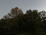 2020-10-02_12-46-09_66D4609A-003A-4306-9C20-9F44B935F32C.jpg
