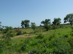 19496P1010343.JPG