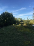 2020-09-29_17-50-51_8C8C9622-4E9D-4EF1-8B46-B10BBCB30076.jpg