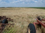 39298TIPT20110719W.JPG
