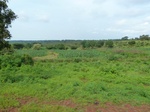 19718P1010567.JPG