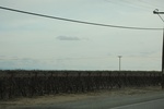 2018-05-31_15-13-34_2018-03-18 17.08.50.jpg