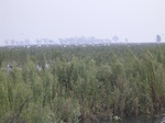 638R0015146.jpg