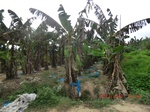 2012-09-26_20-50-07_CIMG1060.JPG