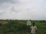 9816gt0117b-cultivated-irrigated-rice-krishna-srisailam.gif