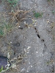 2012-09-12_09-02-00_IA-DL-14-7.jpg