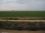 14456IMG_4809.JPG