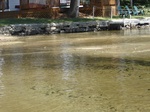 2012-09-28_22-29-16_NH-GR-1.JPG