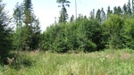 2016-07-25_03-26-58_DSCF1752.JPG