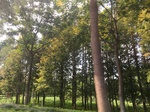2017-09-12_13-54-40_FADCBD47-9F6A-4E35-8E46-76EED96EEE23.jpg