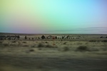 2022-01-21_16-37-44_4E8A6533.JPG