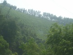 2012-09-08_20-00-37_RIMG0038.JPG