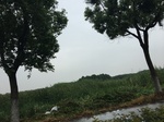 2017-09-10_08-38-27_3AD6B88A-3A98-44D7-A977-955DD7806ACB.jpg
