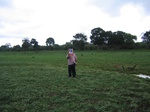 821709-lakebed-grassesa.jpg
