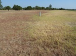 39204FTCB20110812N.JPG