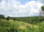 14187IMG_4526.JPG