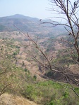 1717520042008(101).JPG