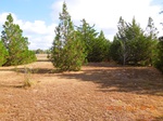 2012-09-19_20-35-28_TX-WK-2-1.JPG