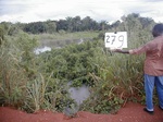 12024GT279_flooded_wetland.JPG