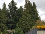 2018-08-23_16-17-45_FE9B664D-FD56-49D7-B6B9-33E6D2AAD5A7.jpg