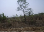 4013RIMG0317.JPG