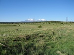 2017-06-05_14-35-23_field photo south May'17.JPG