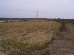 3201R0017235.JPG
